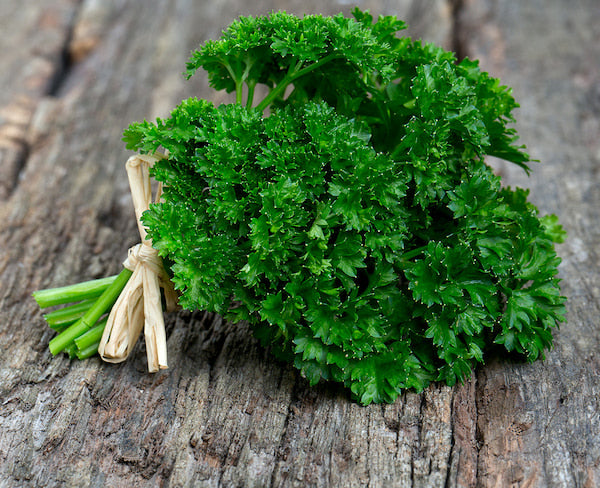 Parsley Forest Green - Pacific Northwest Seeds