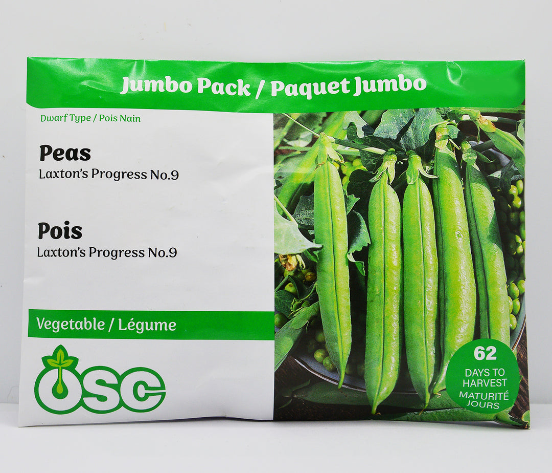 Peas Laxton's Progress No.9 Jumbo - Ontario Seed Company