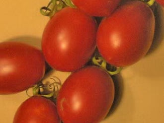 Tomato Pink Ice Cherry - Eagleridge Seeds