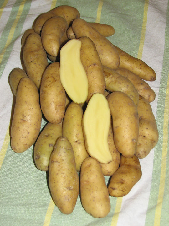 Gourmet Potato - Banana, 500g