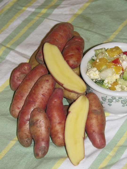 Gourmet Potato - French Fingerling, 500g