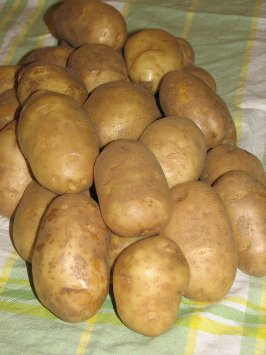 Potatoes - Combo Sack 1, 1.5 kg