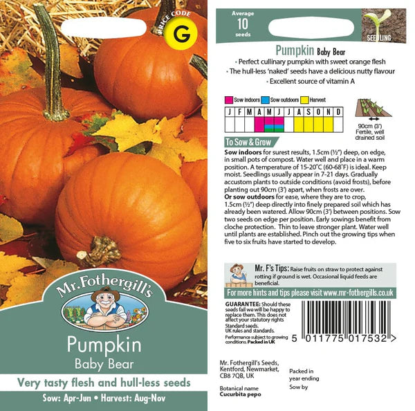 Pumpkin Baby Bear - Mr. Fothergill's Seeds
