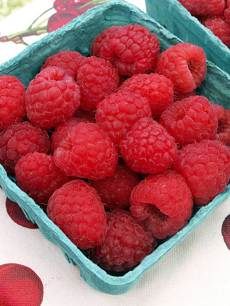 Raspberry - Canby, Summer Bearing