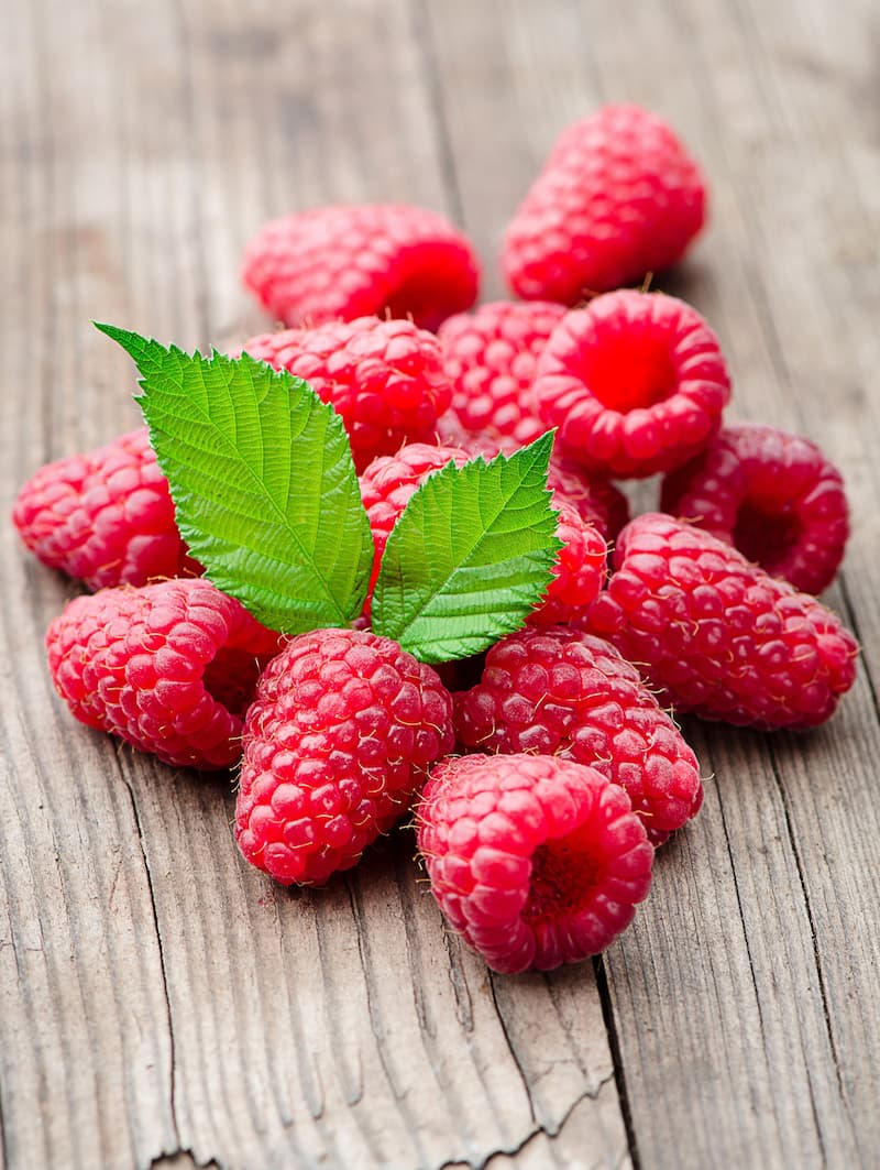 Giant Red Raspberries Raspberry | Crimson Giant | Everbearing | 1 Gallon Pot β Wildwood ...