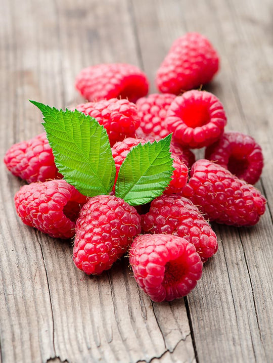 Raspberry - Crimson Giant, Everbearing