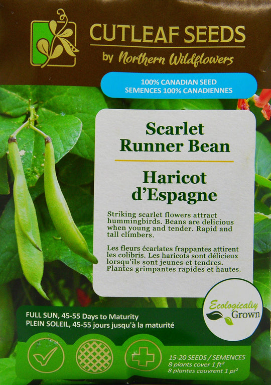 Scarlet Runner Bean - Northern Wildflowers