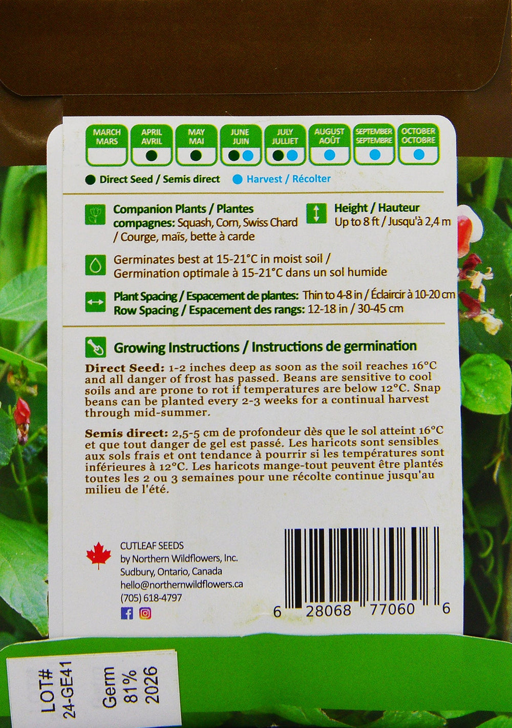 Scarlet Runner Bean - Northern Wildflowers