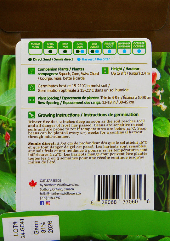 Scarlet Runner Bean - Northern Wildflowers