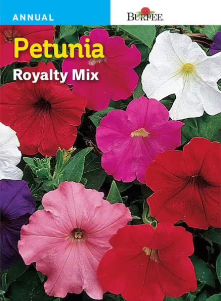 Petunia Royalty Mix - Burpee