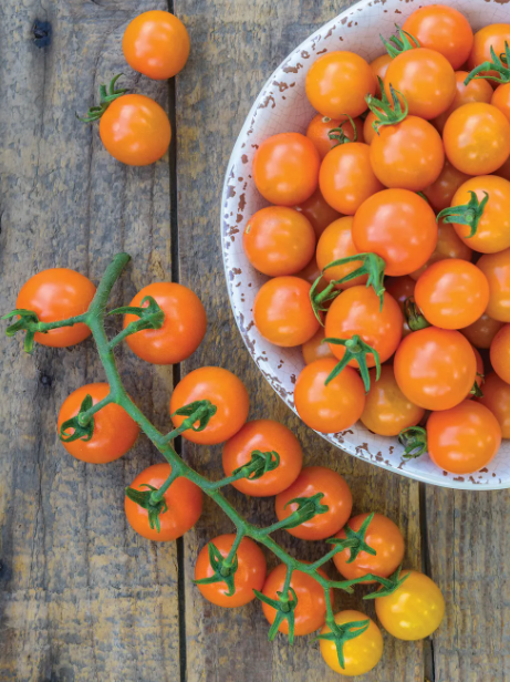 Tomato Honeycomb - Burpee Seeds