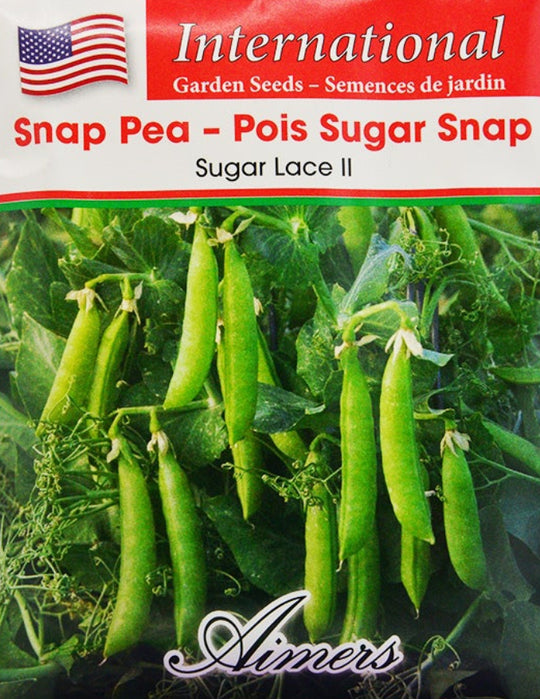 Snap Pea Sugar Lace II International - Aimers Seeds