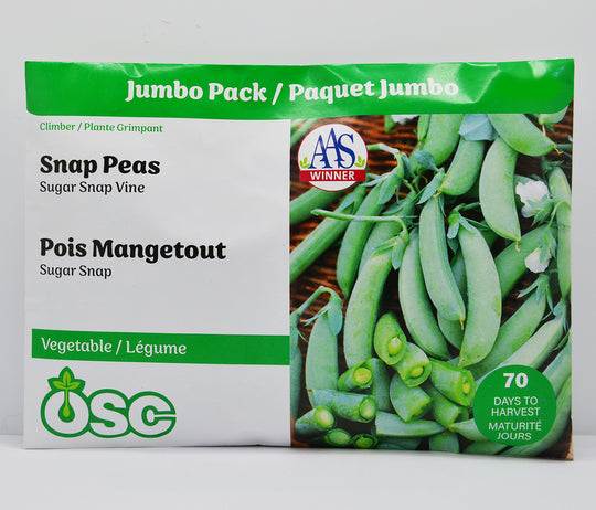 Snap Peas Sugar Snap Vine Jumbo - Ontario Seed Company