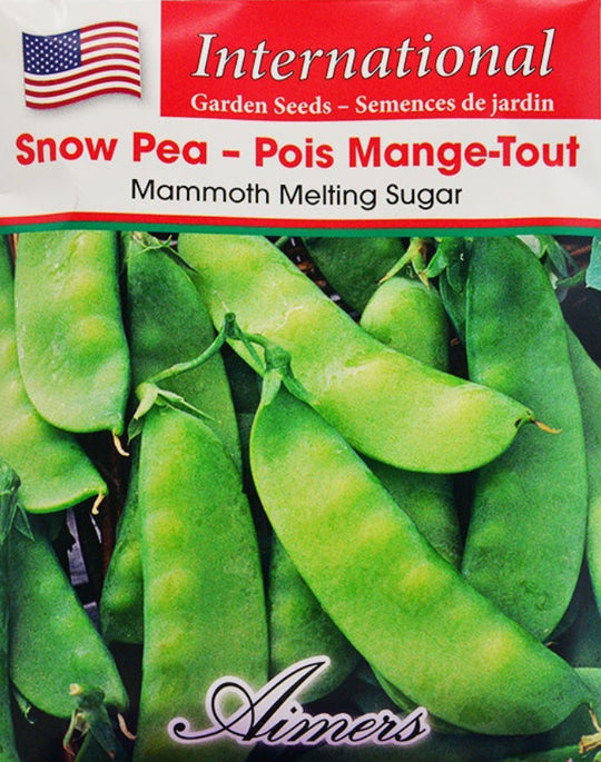 Snow Pea Mammoth Melting Sugar International - Aimers Seeds