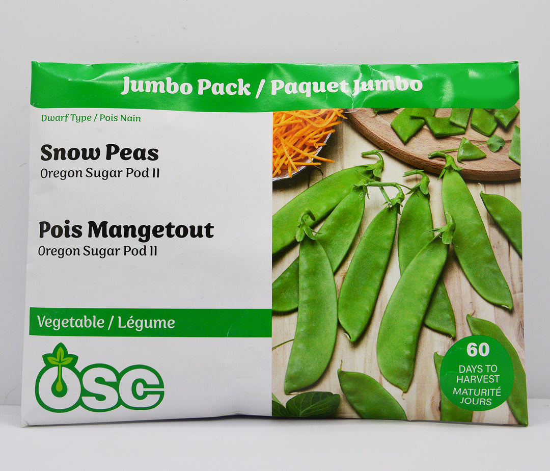 Snow Peas Oregon Sugar Pod II Jumbo - Ontario Seed Company