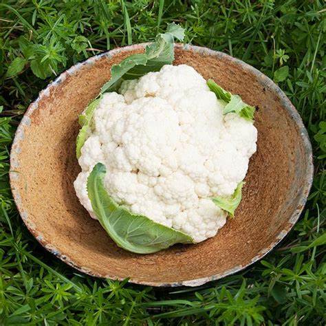 Cauliflower Snowball Blanche - Pacific Northwest Seeds
