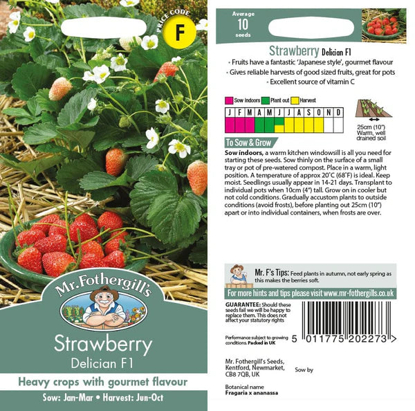 Strawberry Delician - Mr. Fothergill's Seeds