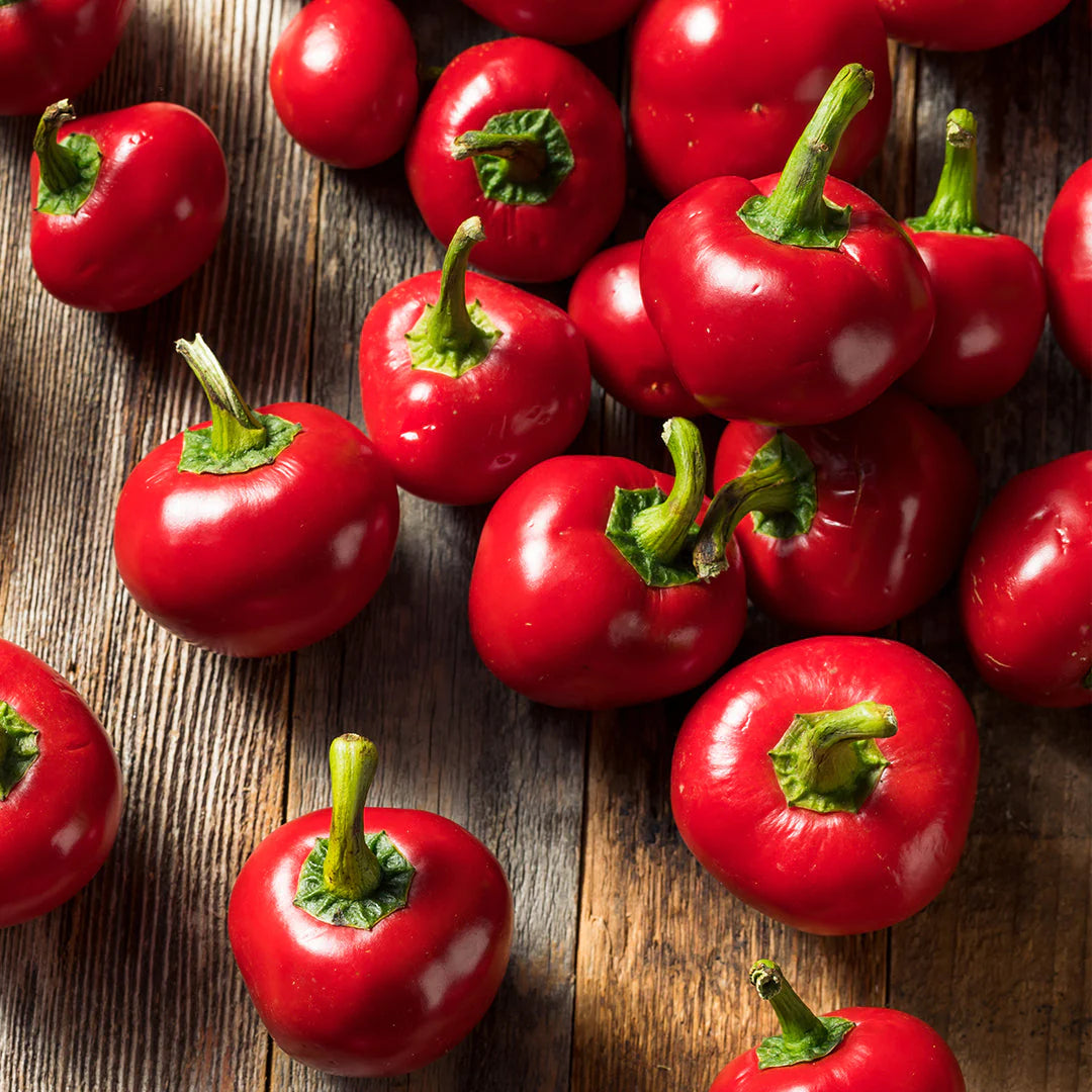 Pepper Red Cherry Sweet - Pacific Northwest Seeds