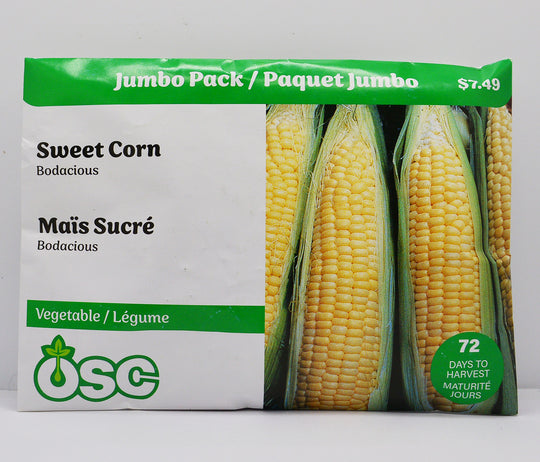 Sweet Corn Bodacious Jumbo - Ontario Seed Company