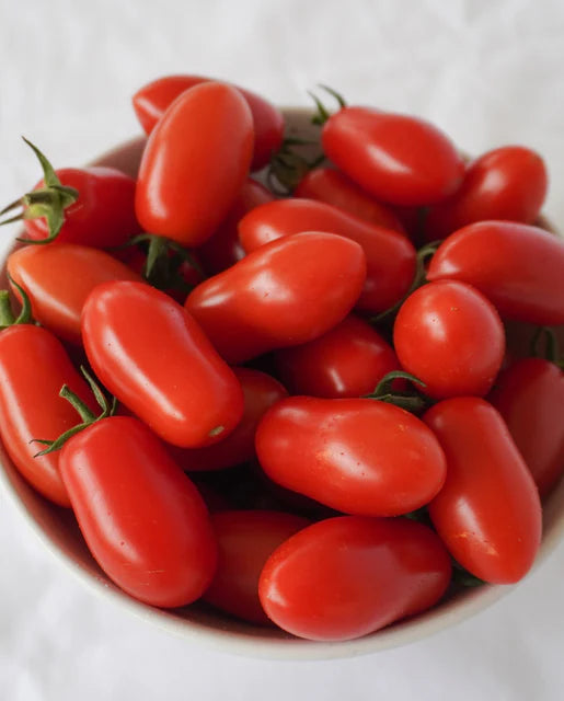 Tomato Roma Marzito - West Coast Seeds