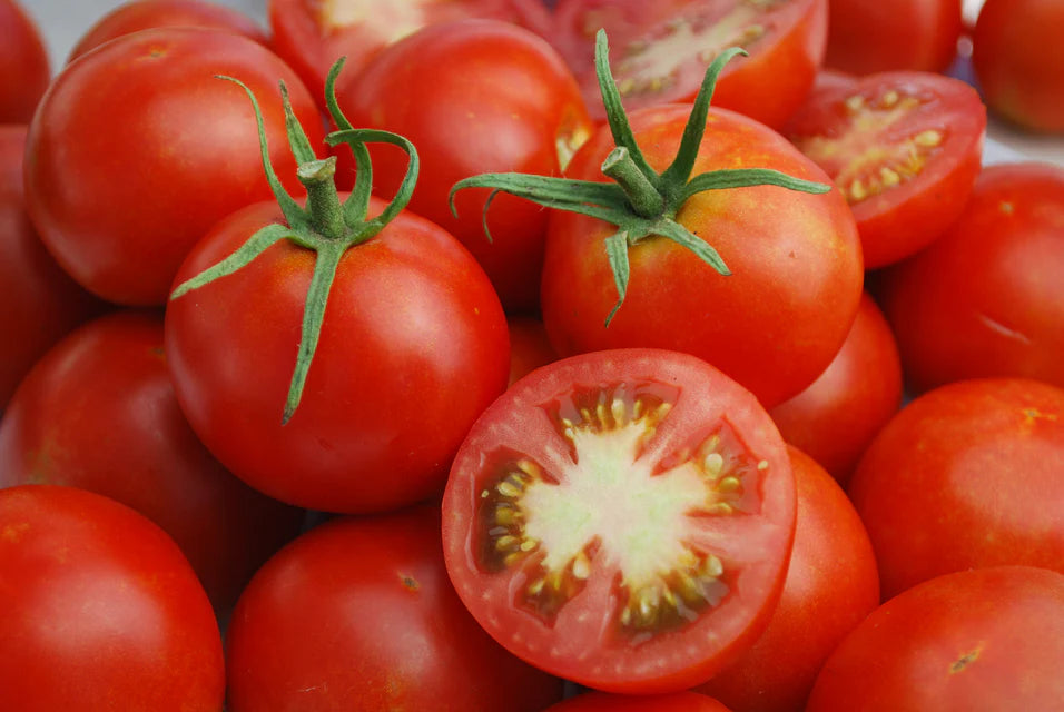 Organic Tomato Glacier - West Coast Seeds
