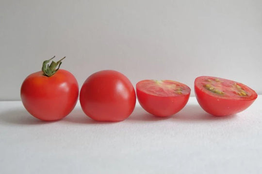 Tomatoes Red Racer - West Coast Seeds