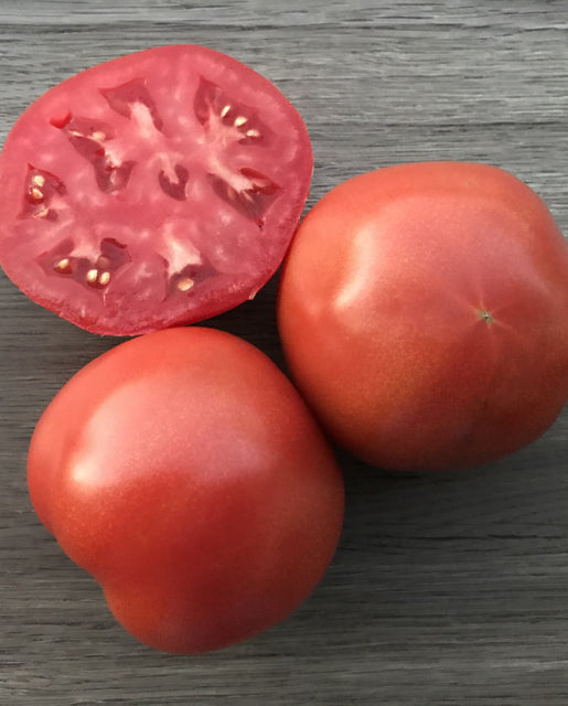 Tomato Rubee Goddess - West Coast Seeds
