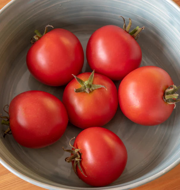 Tomatoes Red Racer - West Coast Seeds