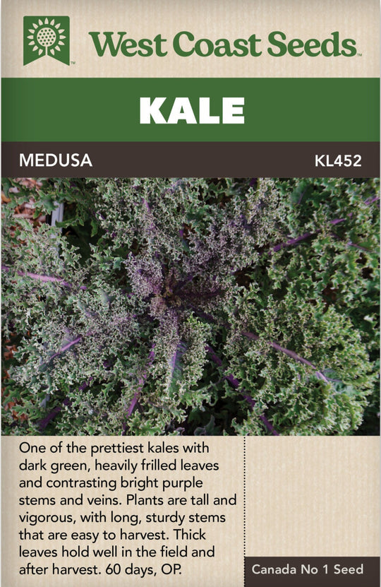 Kale Medusa - West Coast Seeds