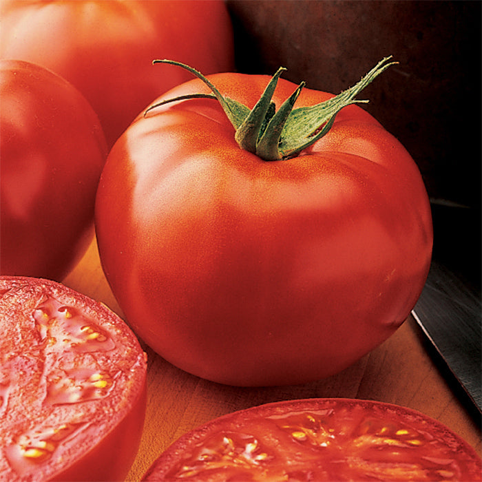 Tomato New Yorker - Pacific Northwest Seeds