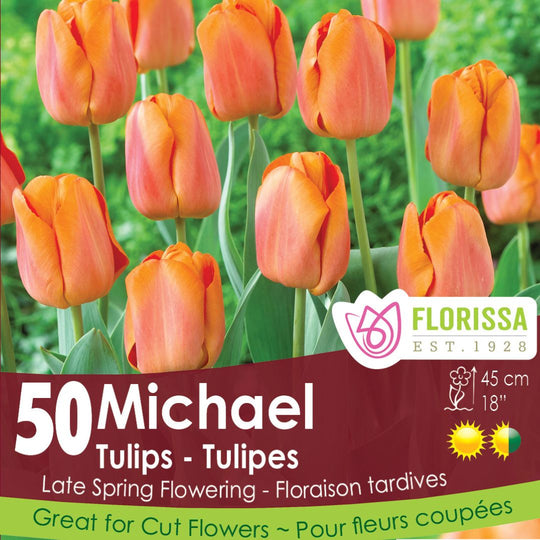 Tulip - Michael - Mesh Bag, 50 Pack