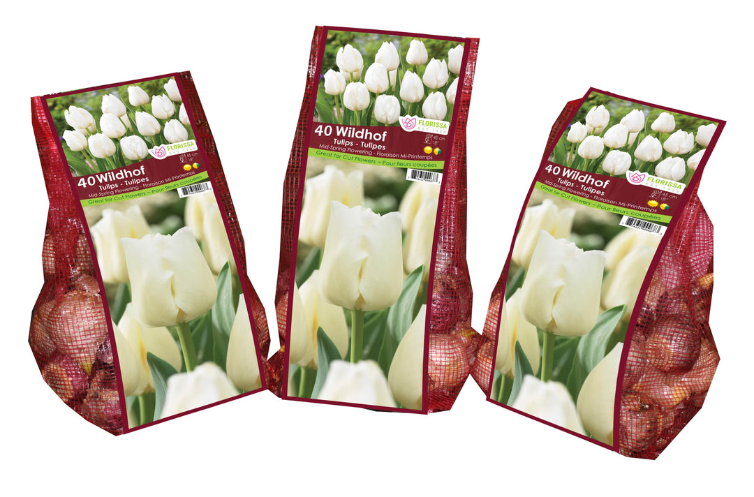 Tulip - Wildhof - Mesh Bag, 40 Pack
