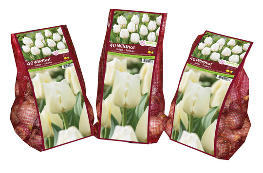 Tulip - Wildhof - Mesh Bag, 40 Pack