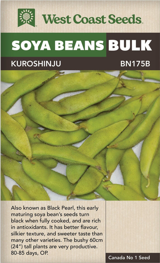 Bean Kuroshinju Edamame Bulk - West Coast Seeds