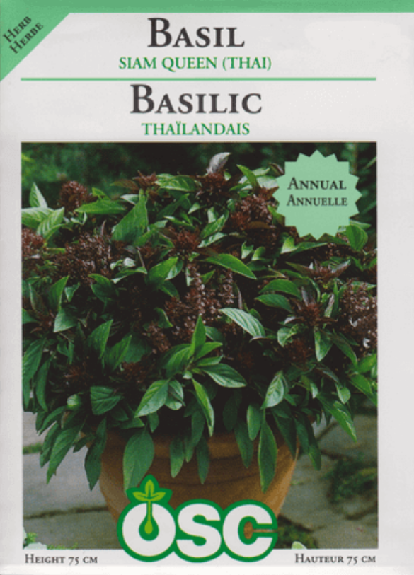 Basil Siam Queen (Thai) - Ontario Seed Company