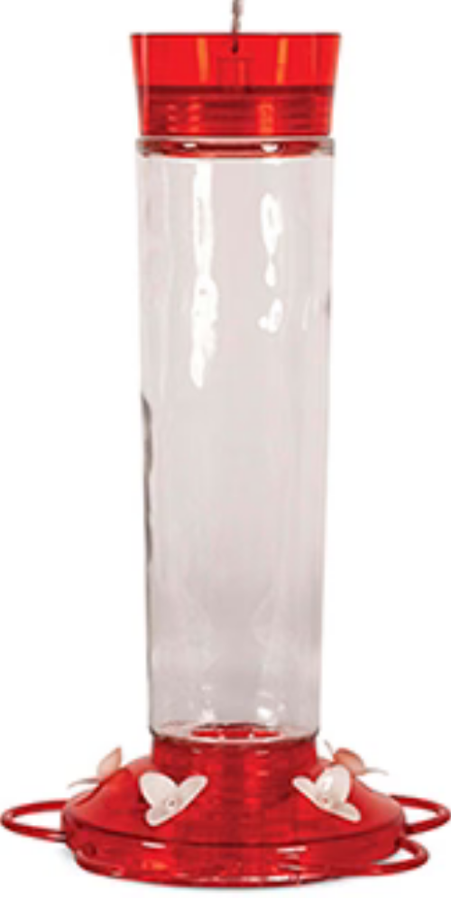 Glass Hummingbird Feeder, 20 oz - Pinebush Home & Garden