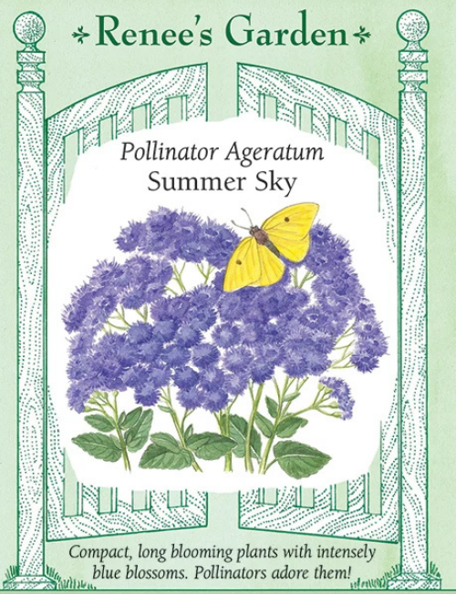 Ageratum Summer Sky - Renee's Garden Seeds