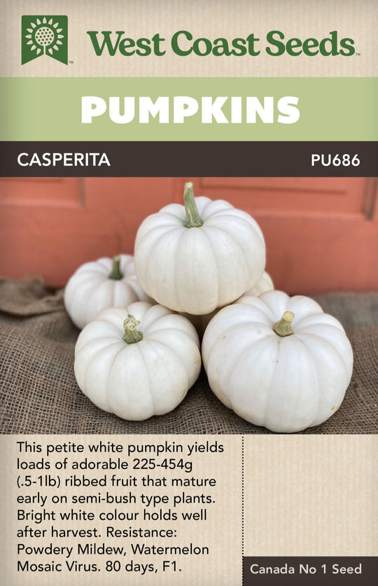 Pumpkin Casperita - West Coast Seeds