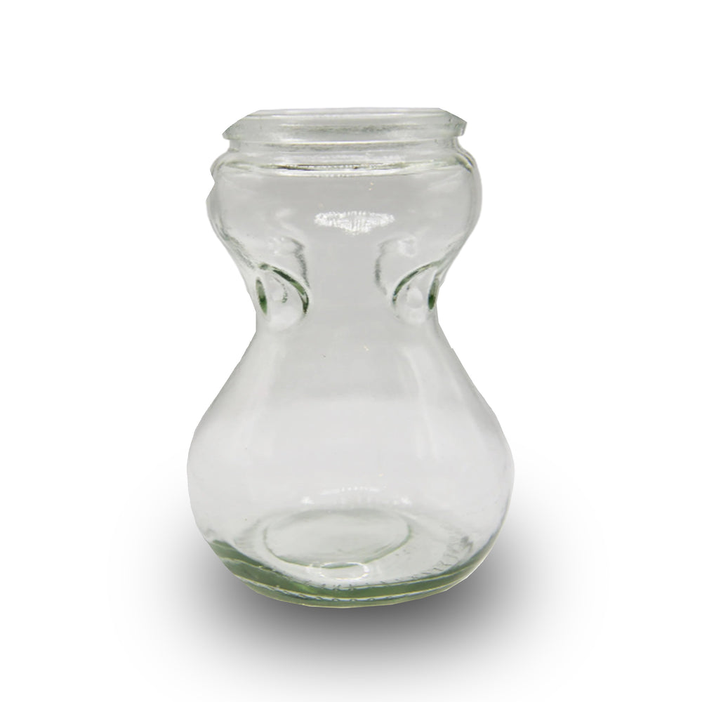 Clear Hyacinth Glass Vase