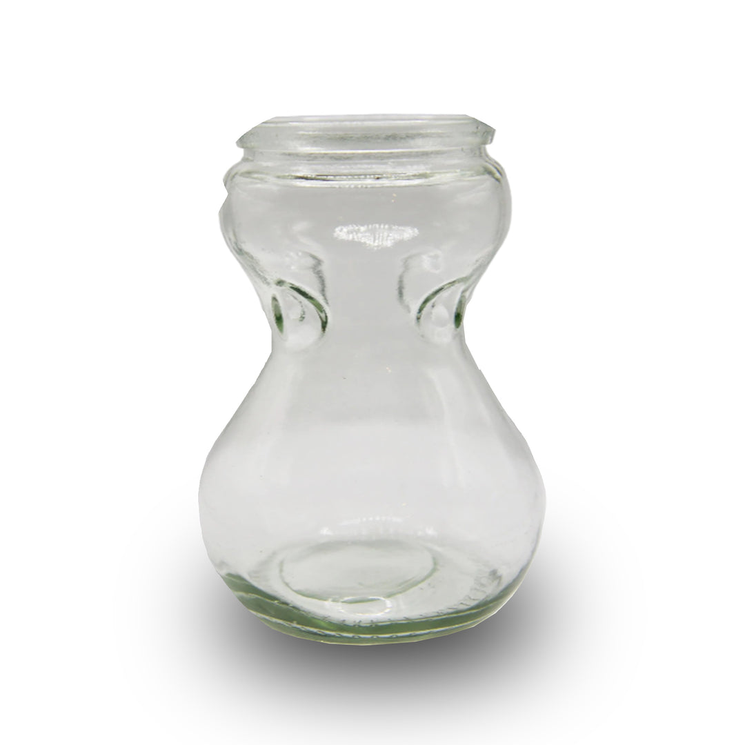 Clear Hyacinth Glass Vase