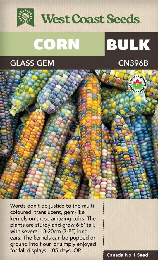 Organic Corn Glass Gem Bulk - West Coast Seeds