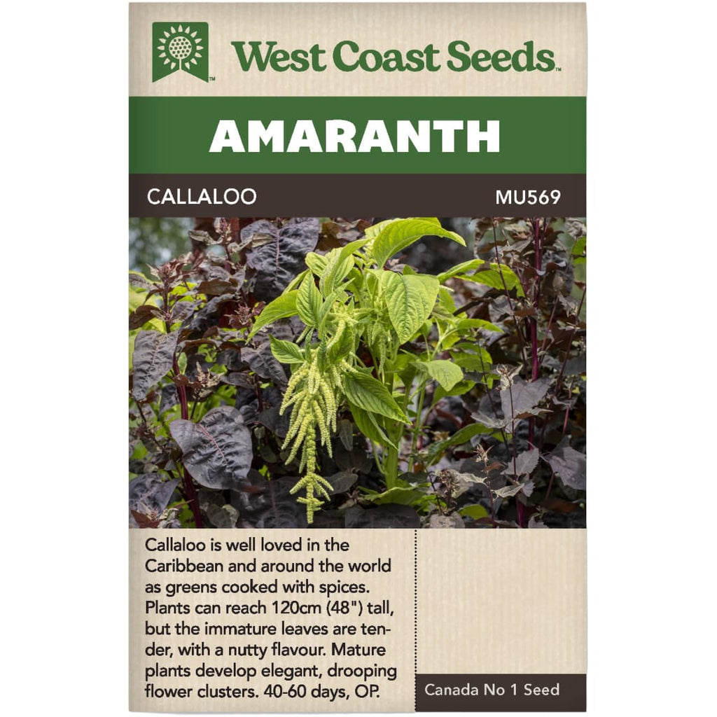 callaloo plant seeds Amaranth Callaloo