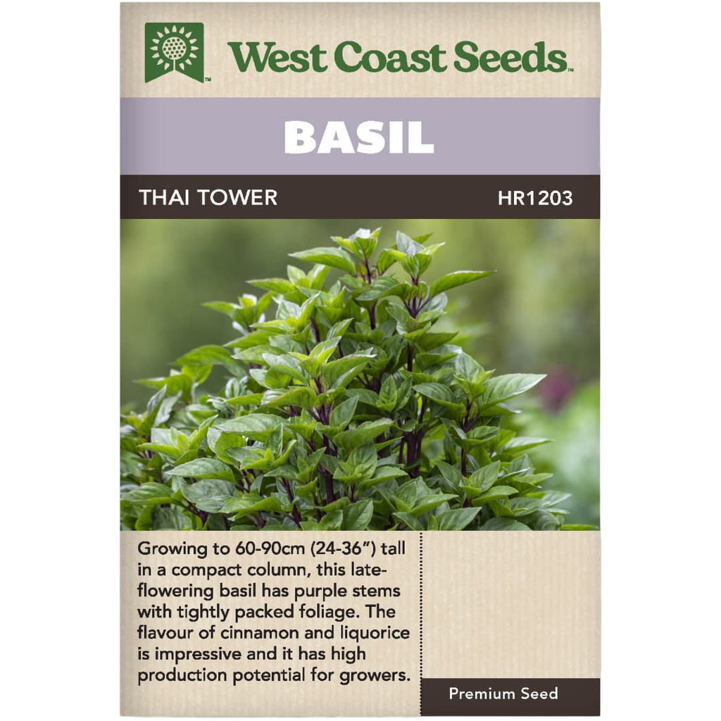 Basil Thai Tower West Coast Seeds Wildwood Outdoor Living