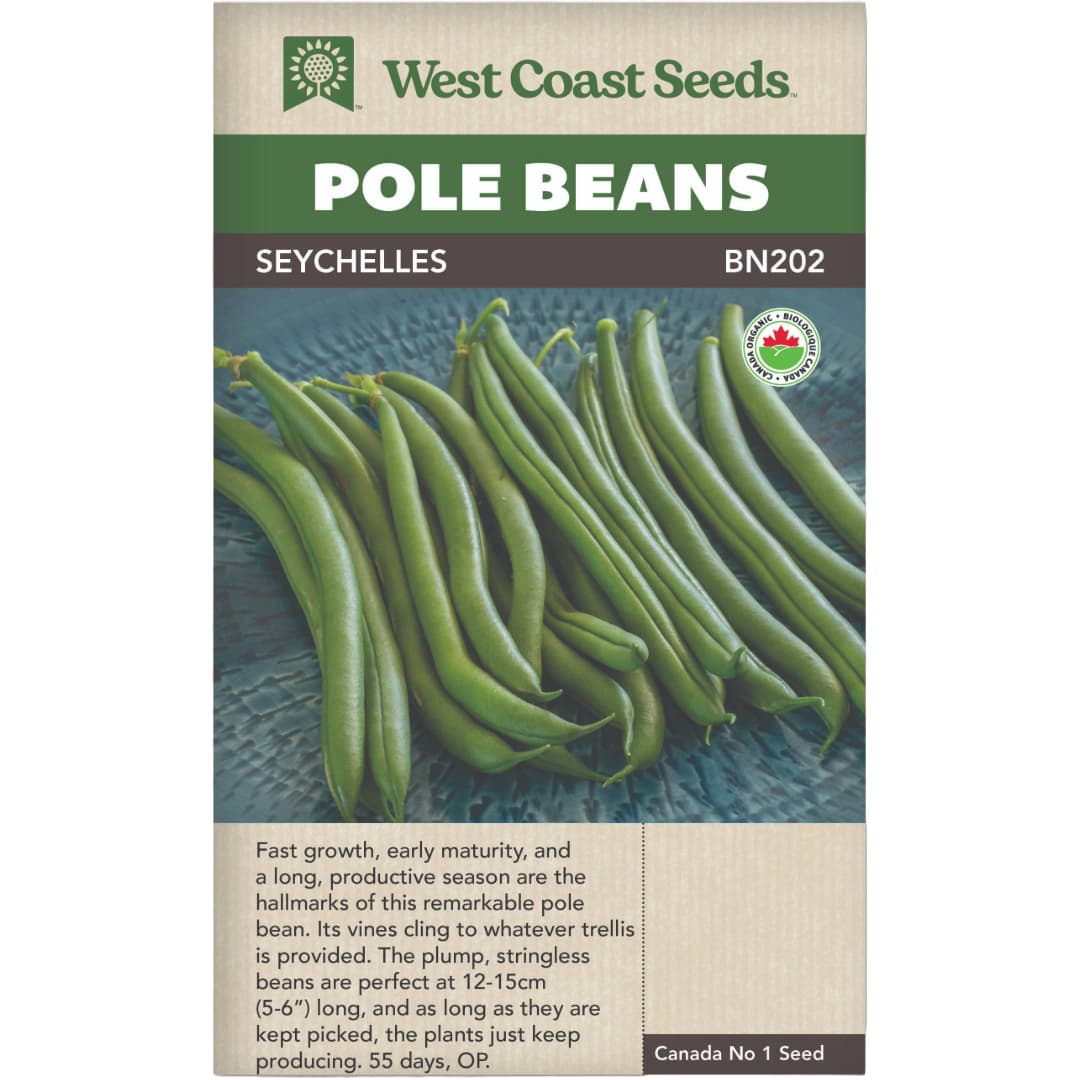 Pole Bean Seychelles - West Coast Seeds