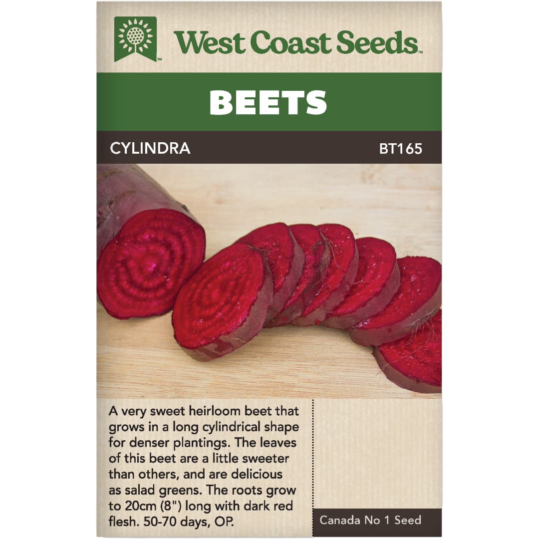 Beet Cylindra - West Coast Seeds
