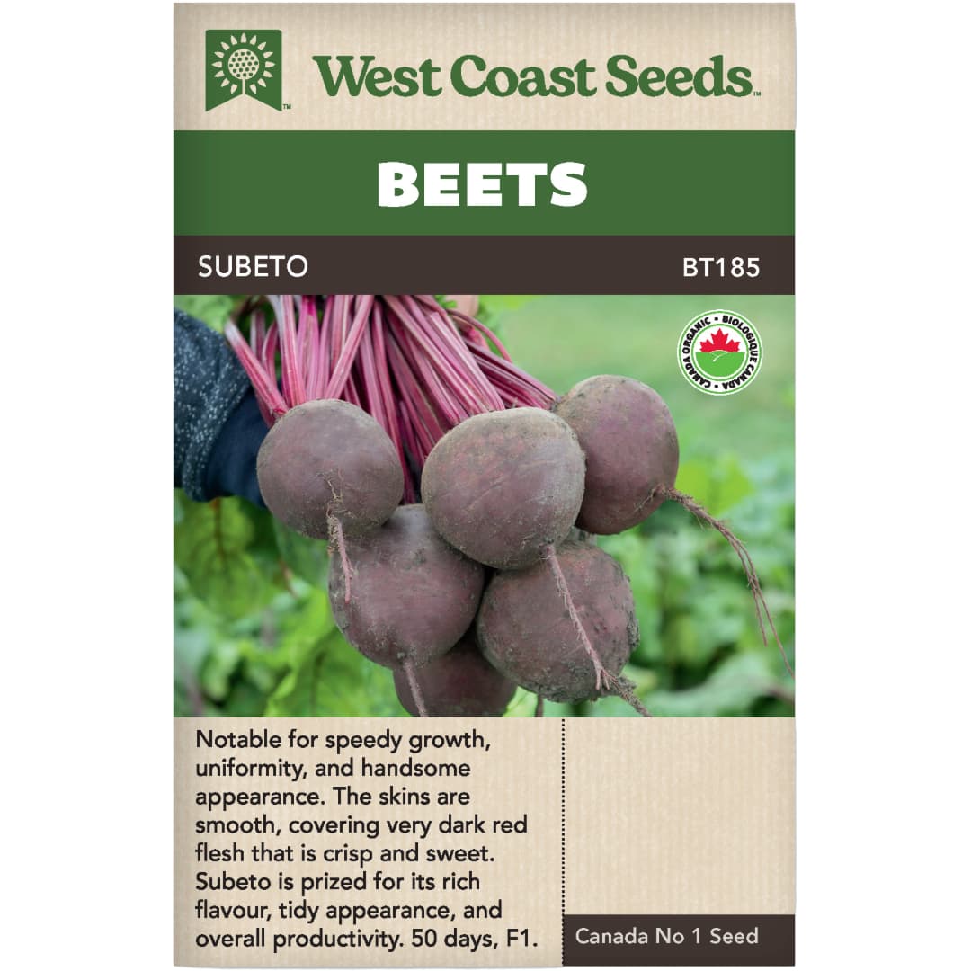 Organic Beet Subeto - West Coast Seeds