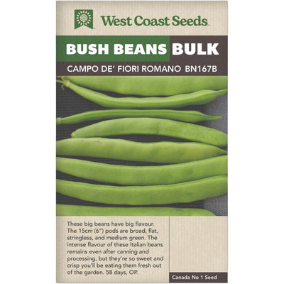 BULK Bean Campo de' Fiori Romano - West Coast Seeds