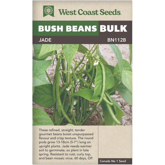 Bush Beans Jade Bulk - West Coast Seeds