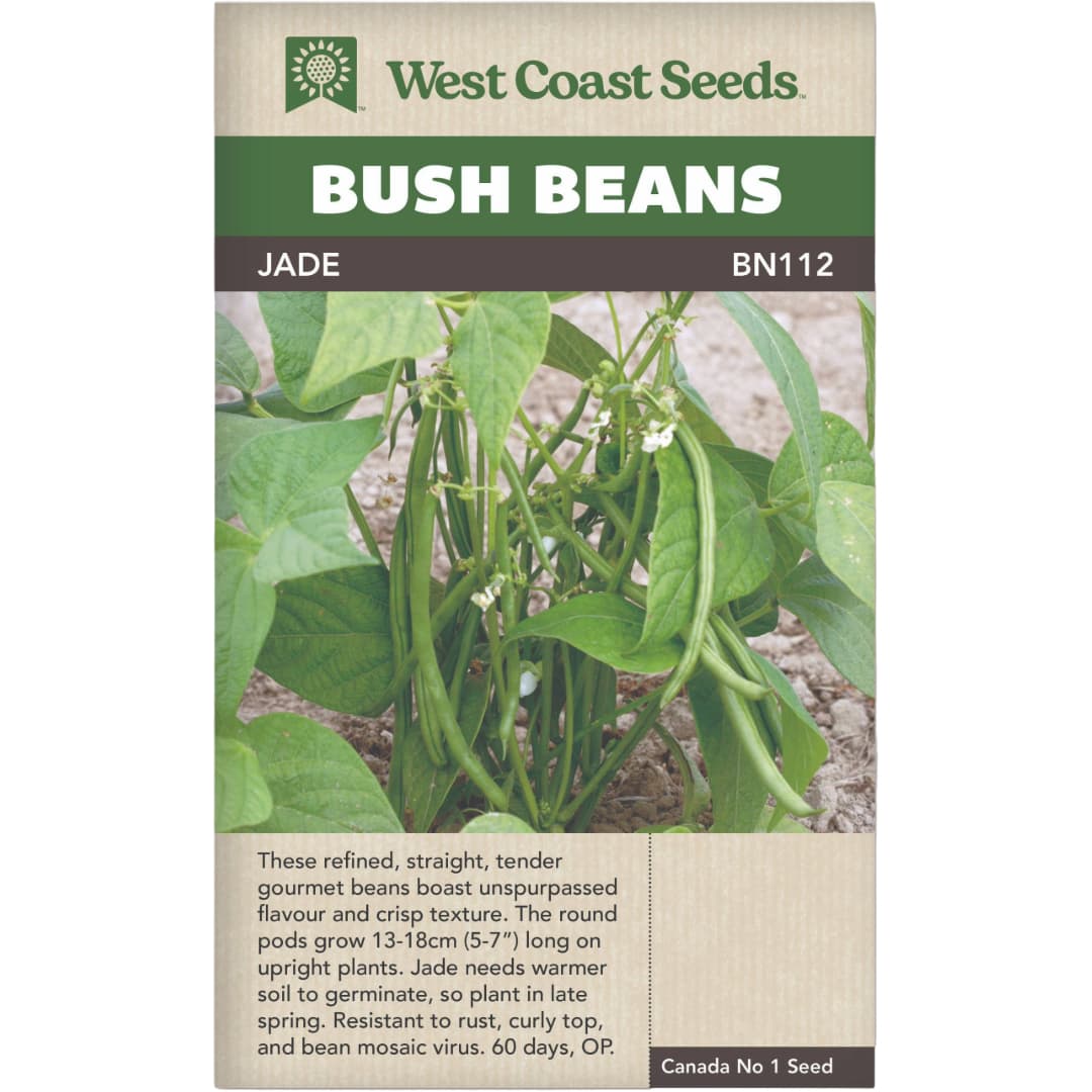 Bush Beans Jade - West Coast Seeds