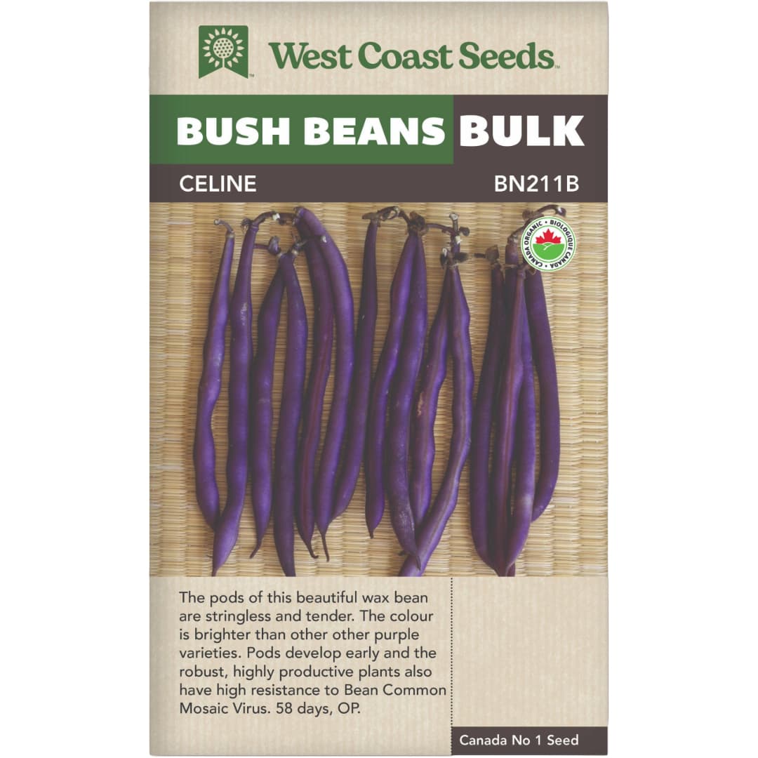 BULK Organic Bean Celine - West Coast Seeds